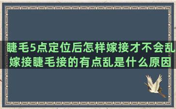 睫毛5点定位后怎样嫁接才不会乱 嫁接睫毛接的有点乱是什么原因